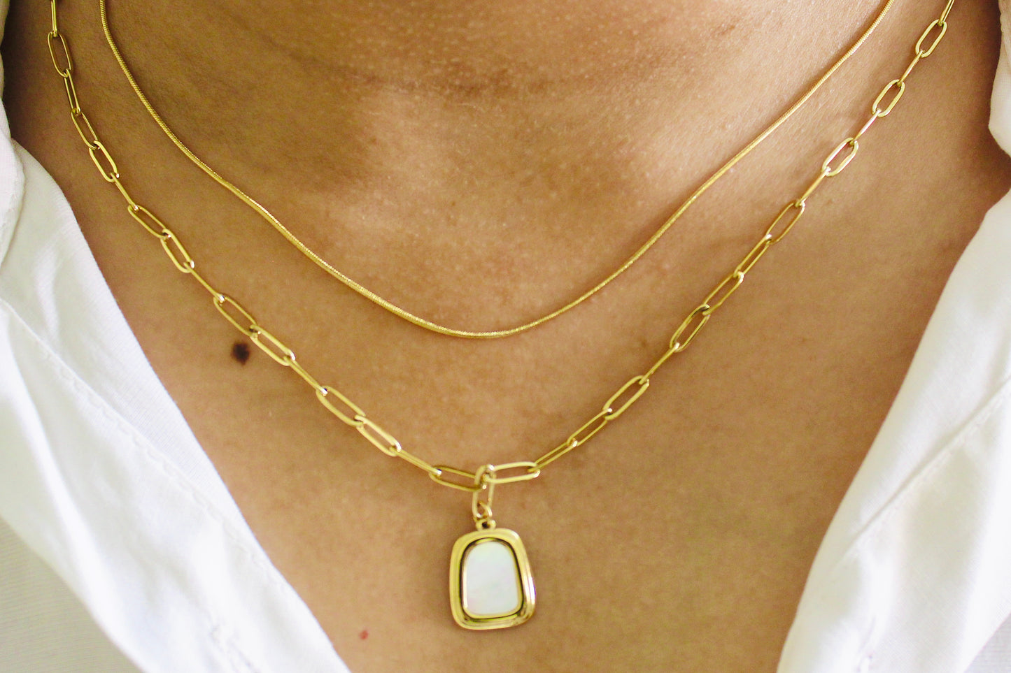 Gold Link & Snake Chain Layered Necklace