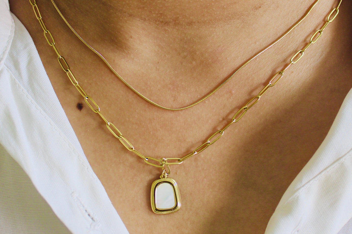 Gold Link & Snake Chain Layered Necklace