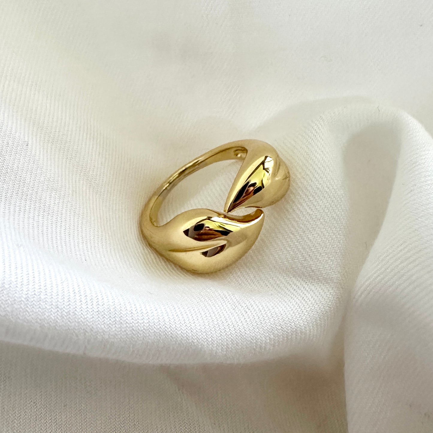 Saanjh Ring