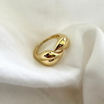 Saanjh Ring